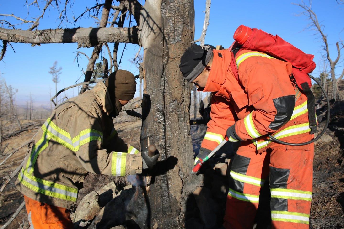 Богдхан ууланд гарсан түймэрт 56 га талбай өртсөн байна