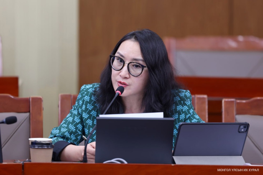 Ж.Баярмаа: Асуудал байгаа учраас Харбины гэрээг шалгах ёстой