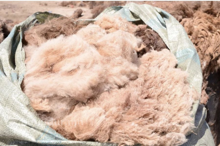 Ноолуур нэг кг нь 170.000-208.000 төгрөгийн ханштай байна
