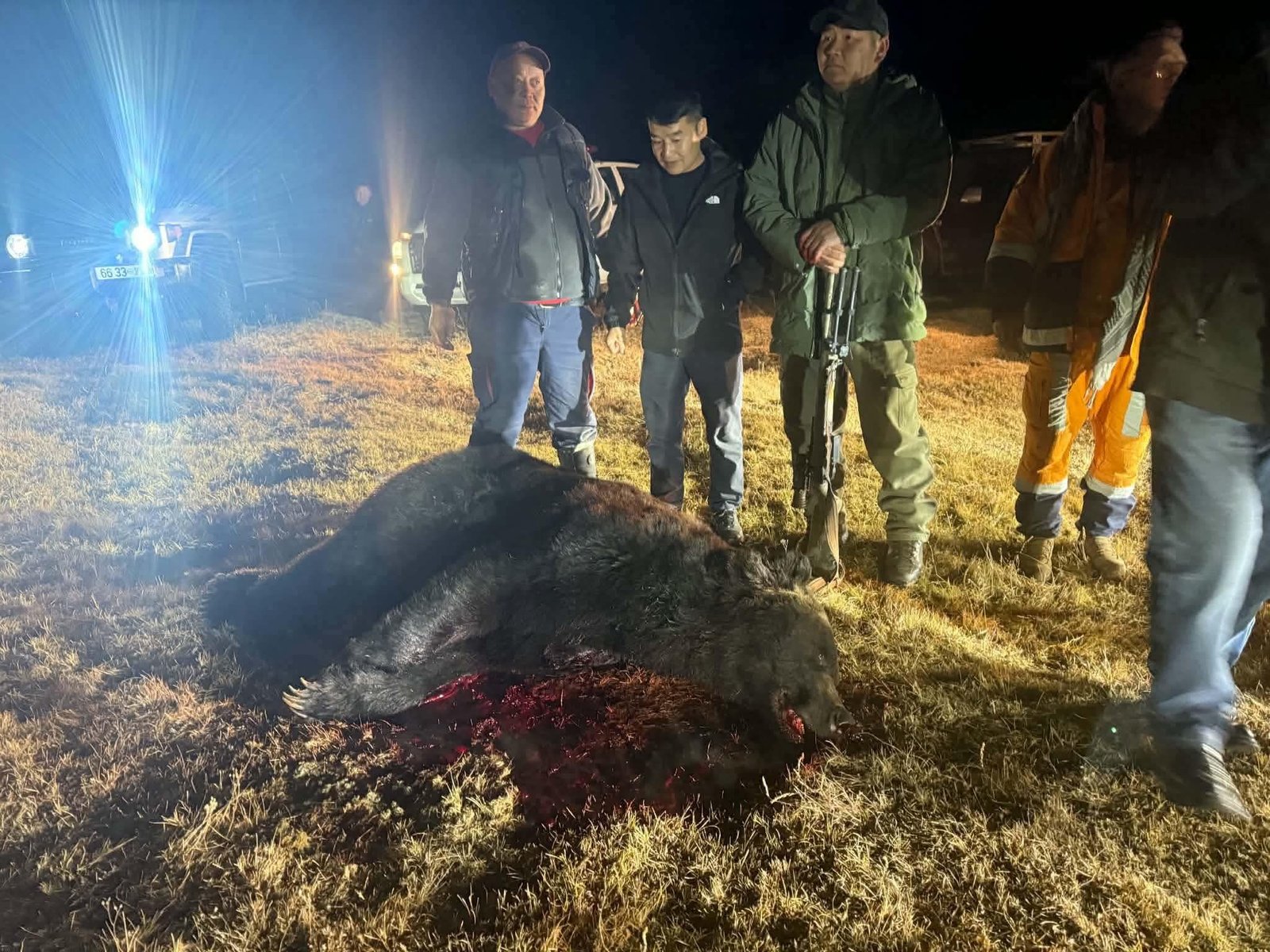 Одоогийн байдлаар нийт 20 баавгайг аюулгүй болгожээ
