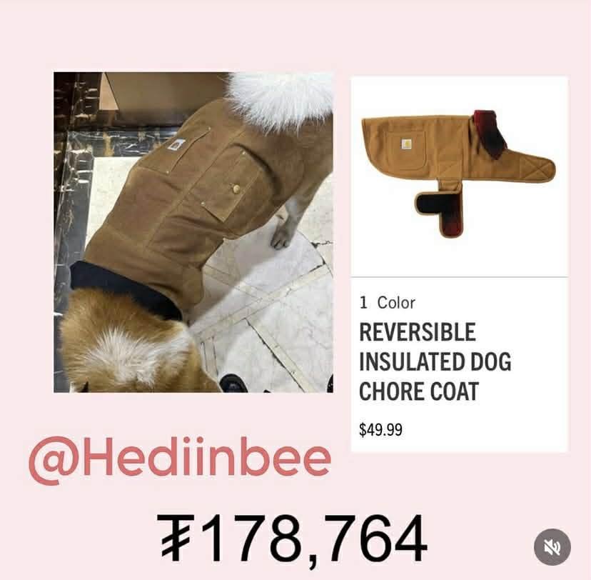 c38e588e4180438994112dd1250657b3