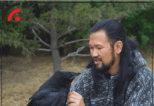 Хэрээ тэжээгч А.Илэрболд: Хэрээ бол цэцэн цэлмэг ухаантай, маш сайн санамжтай, зөн билэгтэй амьтан