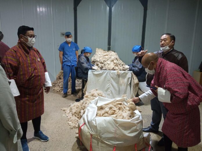 large-68ca1cf083d7de7c1b04c0ae