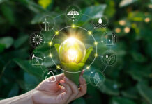 Ногоон шошго ба Цэвэр үйлдвэрлэл