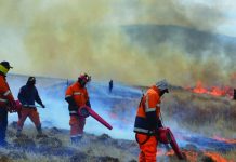 Онцгой байдлын байгууллагын ажилчдын онцгой нөхцөлийн нэмэгдлийг 30-40 хувь болгон нэмэгдүүлжээ