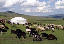 Дүрвэгсдийн тоо 200 саяд хүрнэ гэж судлаачид таамаг дэвшүүлээд байна