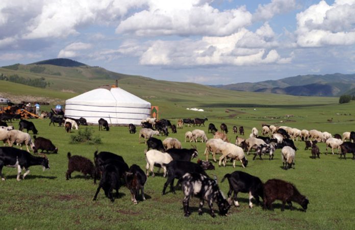 615379147_122117046105070050_172371996790583297_n